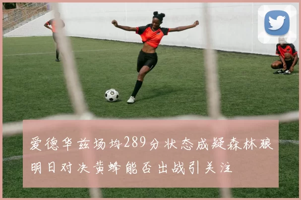 爱德华兹场均289分状态成疑森林狼明日对决黄蜂能否出战引关注